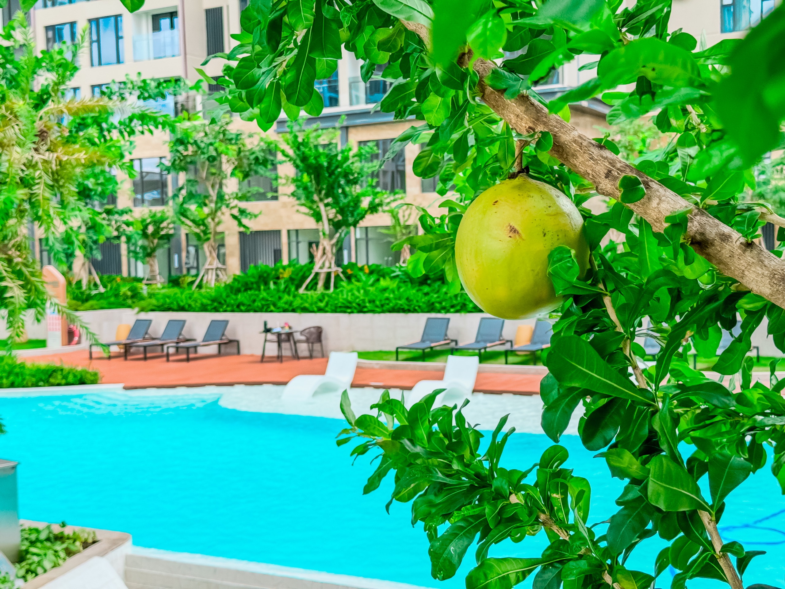 Nghỉ dưỡng - Hình 2